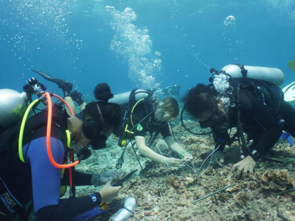 The Sagara Penida Nusa Penida Δωμάτιο φωτογραφία